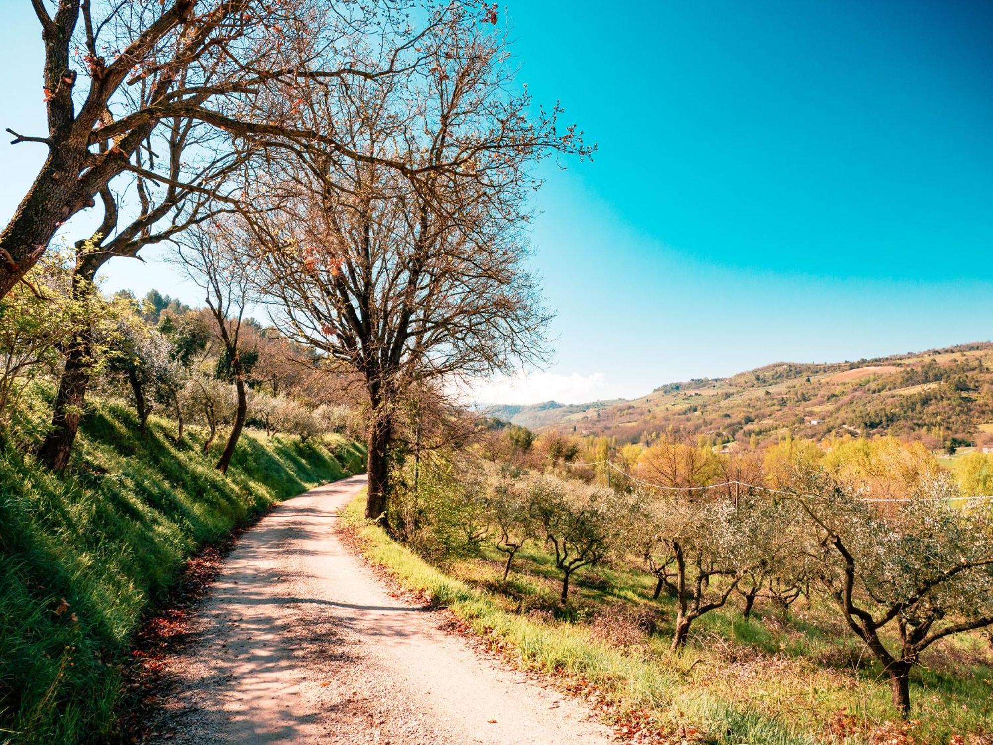 Ostello Bello Assisi Bevagna Exteriör bild